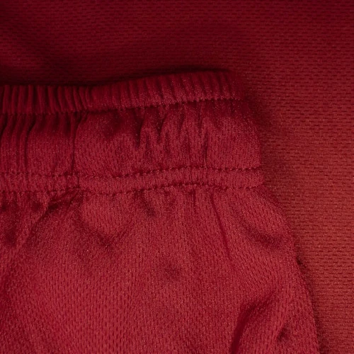 Bigdude Performance Shorts Burgundy - Image 4