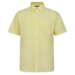Bigdude Classic Short Sleeve Poplin Shirt Lemon Tall